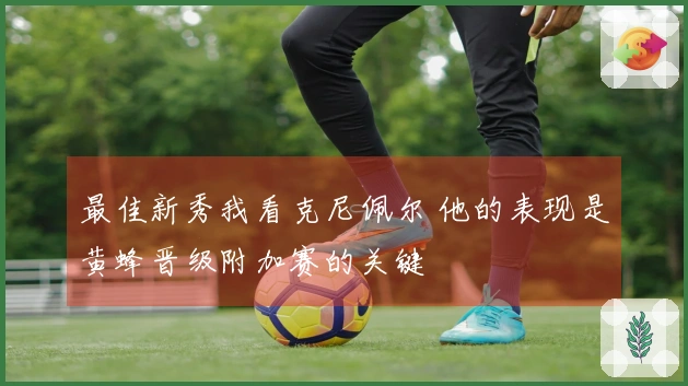 最佳新秀我看克尼佩尔 他的表现是黄蜂晋级附加赛的关键