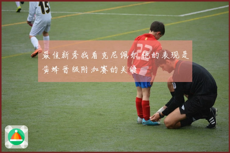 最佳新秀我看克尼佩尔 他的表现是黄蜂晋级附加赛的关键